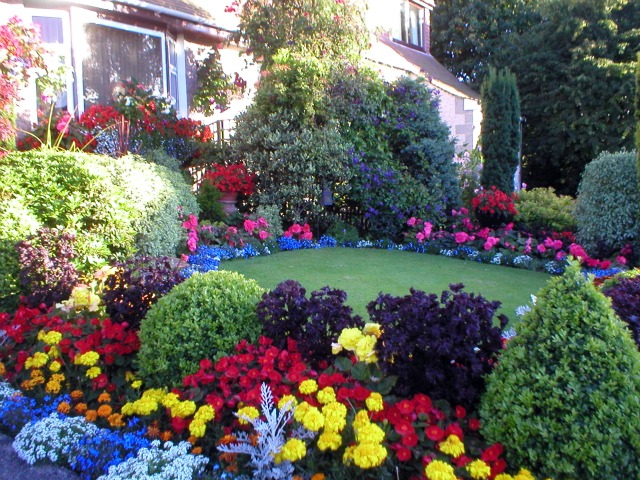 winner Aberdeen in bloom