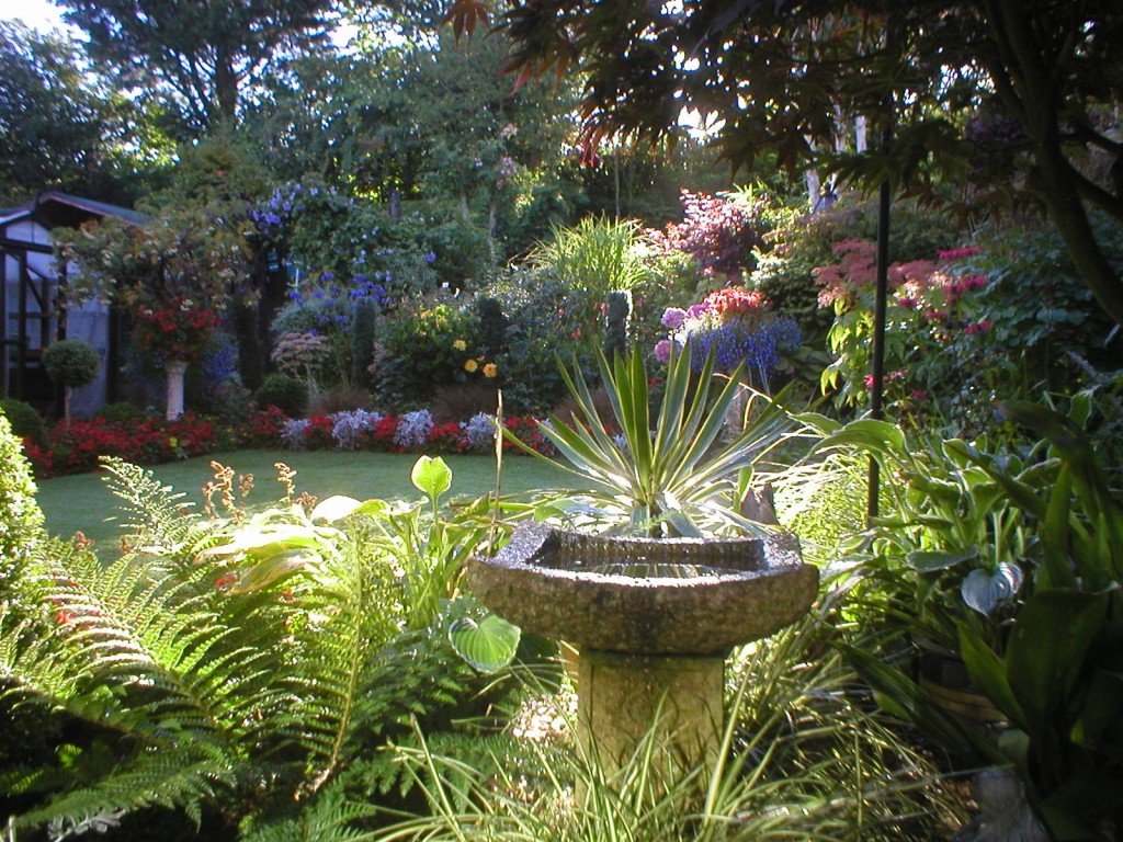 Garden in September